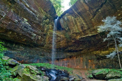 A serene waterfall cascades from a rocky overhang into a lush, green forested area below.