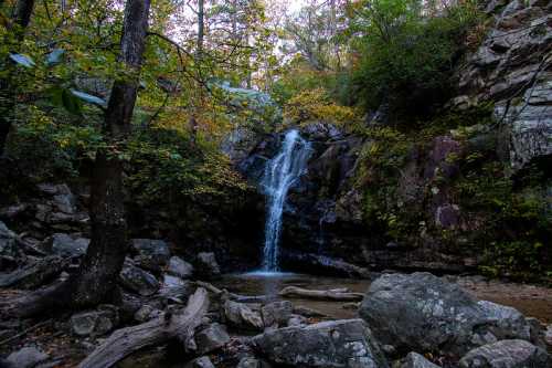 A serene waterfall cascades over rocks, surrounded by lush trees and autumn foliage in a tranquil forest setting.