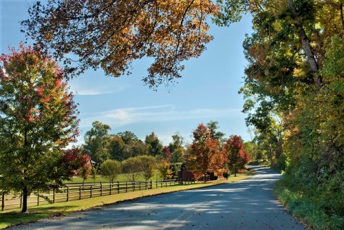 A scenic road lined with colorful autumn trees under a clear blue sky. Fenced fields are visible in the background.