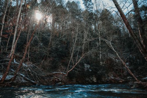 A serene river flows through a forest, with sunlight filtering through bare trees on a winter day.