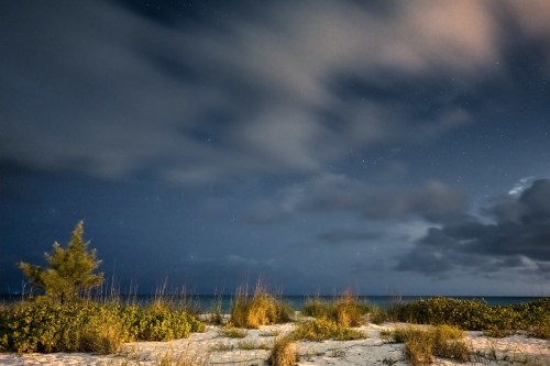 A serene beach scene at night, featuring clouds, stars, and coastal vegetation under a dark sky.