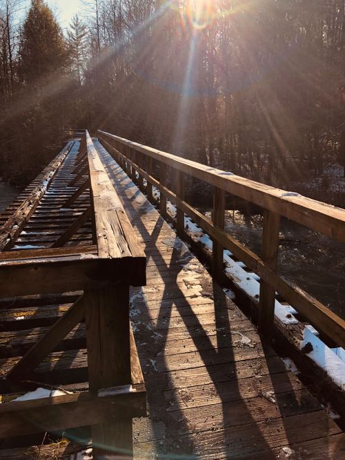 A wooden bridge stretches over a stream, illuminated by sunlight filtering through trees, casting long shadows.