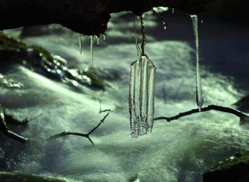 Icicles hang from a branch above a softly flowing stream, creating a serene winter scene.