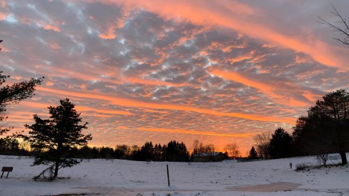A winter landscape with a snowy field and trees under a vibrant orange and pink sunset sky.