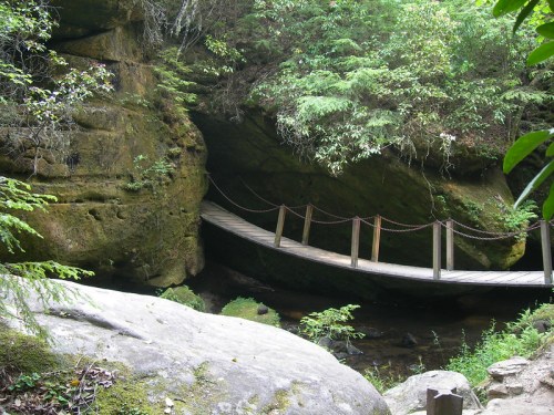 A wooden bridge connects two rocky areas in a lush, green forest setting.