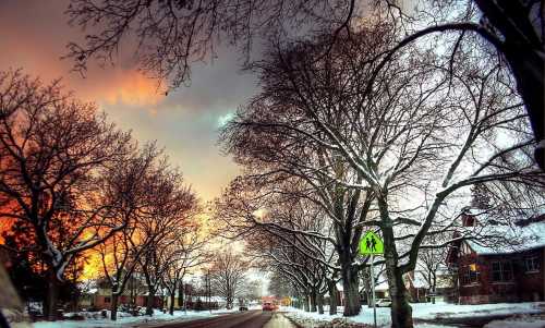 A snowy street lined with bare trees, illuminated by a colorful sunset in the background.