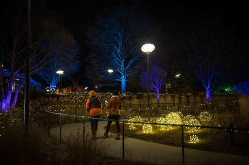 Two people walk along a path illuminated by colorful lights in a park at night, surrounded by glowing trees and decorations.