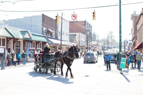 A horse-drawn carriage on a busy street with pedestrians and shops in the background on a sunny day.