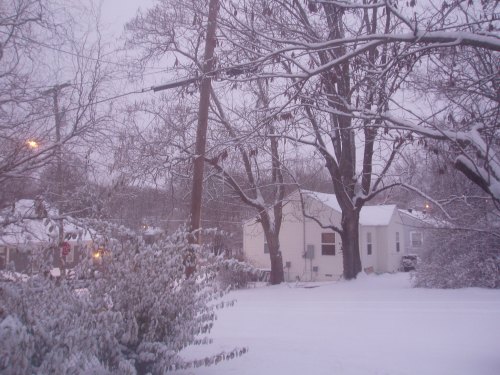 A snowy landscape with trees, a house, and streetlights, creating a serene winter scene.
