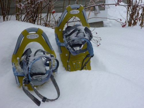 Two snowshoes partially buried in deep snow, surrounded by a snowy landscape and some bare bushes in the background.