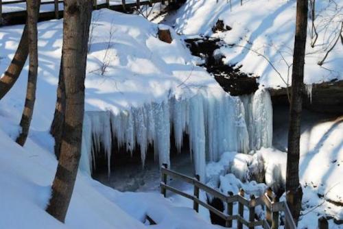 Icicles hang from a snowy ledge above a frozen stream, surrounded by trees and a wooden railing.