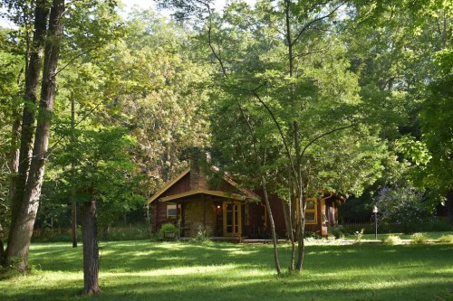 A cozy log cabin surrounded by lush green trees and grass in a serene outdoor setting.