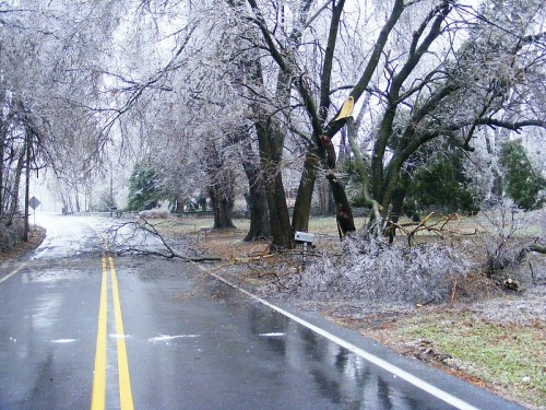 A tree-lined road after an ice storm, with fallen branches and a slick, reflective surface.