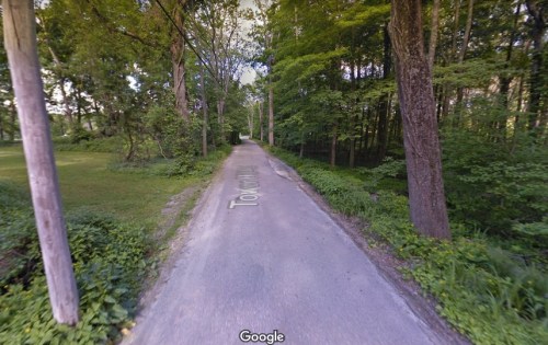 A narrow, tree-lined road with greenery on both sides, leading into a wooded area.