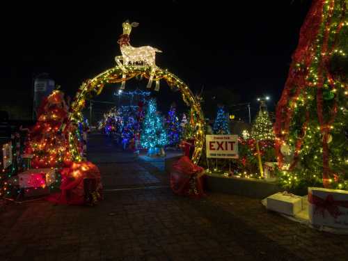 A festive pathway adorned with colorful Christmas lights and decorated trees, leading to an exit sign.