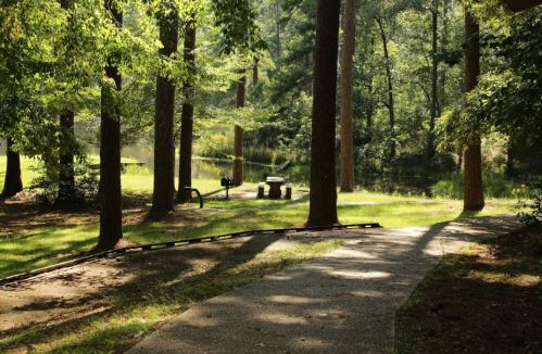 A serene park scene with a winding path, tall trees, and a calm pond in the background, bathed in soft sunlight.