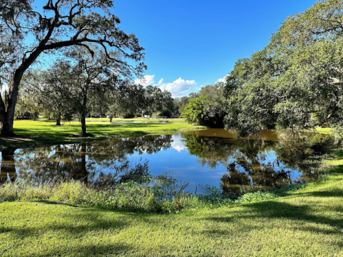 A serene landscape featuring a pond surrounded by lush greenery and trees under a clear blue sky.