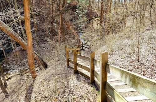 A winding wooden path leads through a dry, wooded area with bare trees and a gentle slope.