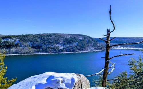 A scenic view of a river surrounded by snow-covered hills and a bare tree against a clear blue sky.