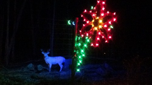 A white deer stands near a brightly lit flower decoration in a dark forest setting.