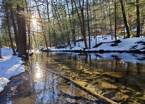 A serene forest scene with a clear stream reflecting sunlight, surrounded by snow-covered ground and tall trees.