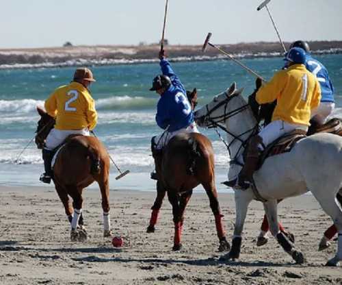 Two polo players in yellow and blue jerseys ride horses on a beach, playing polo near the ocean.