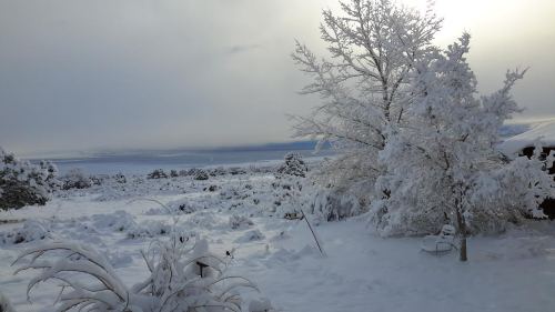 A snowy landscape with frosted trees and a serene, cloudy sky in the background.
