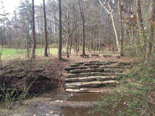 A serene forest scene with stone steps leading to a small stream, surrounded by trees and picnic tables in the background.
