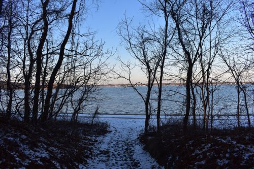 A snowy path leads to a calm lake, framed by bare trees under a clear blue sky.