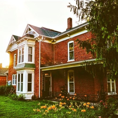 A vintage brick house with a green roof, surrounded by greenery and flowers, bathed in warm sunlight.