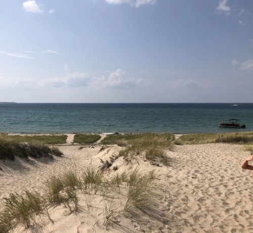A sandy beach with grass, leading to a calm ocean under a blue sky with a few clouds. A boat is visible in the distance.