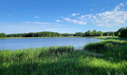 A serene lake surrounded by lush greenery and trees under a clear blue sky with scattered clouds.