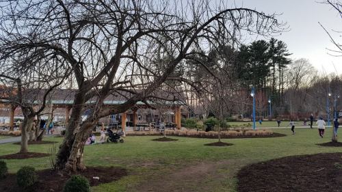 A park scene with bare trees, grassy areas, and people enjoying the outdoors near a pavilion and walking paths.