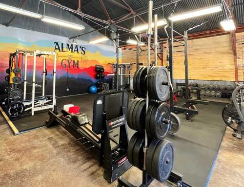 A well-equipped gym featuring weightlifting equipment, a rowing machine, and a colorful mural on the wall.