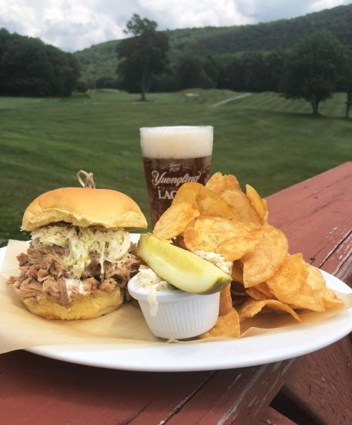 A pulled pork sandwich with coleslaw, pickles, and potato chips, alongside a glass of beer, set against a green landscape.