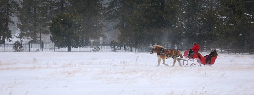 A horse-drawn sleigh travels through a snowy landscape, with a person in red riding in the sleigh.