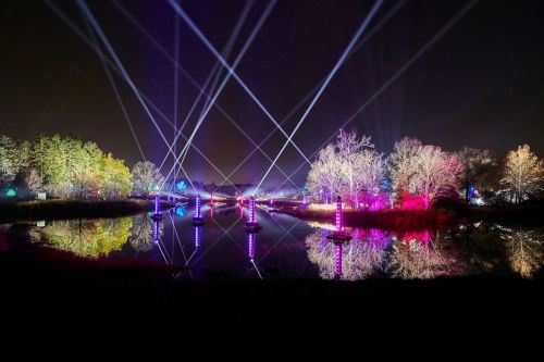 Colorful beams of light illuminate trees and water, creating a vibrant reflection at night.