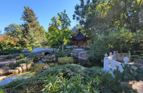 A serene garden scene featuring a pond, lush greenery, a stone bridge, and a traditional gazebo.