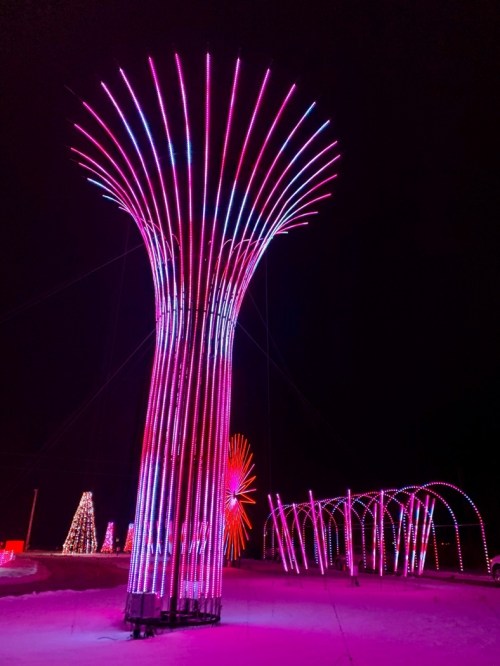 Colorful illuminated structures resembling trees, glowing in pink and purple lights against a dark night sky.