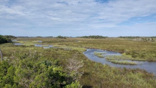 A scenic view of a marshland with winding waterways and lush greenery under a partly cloudy sky.