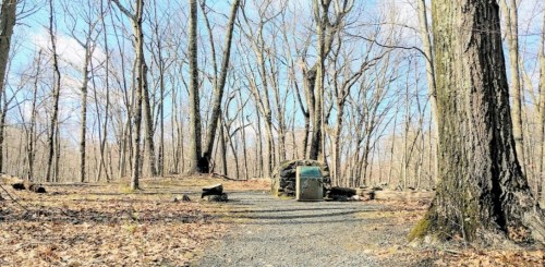 A serene forest scene with bare trees, a gravel path, and a small campsite with a fire pit and a trash can.