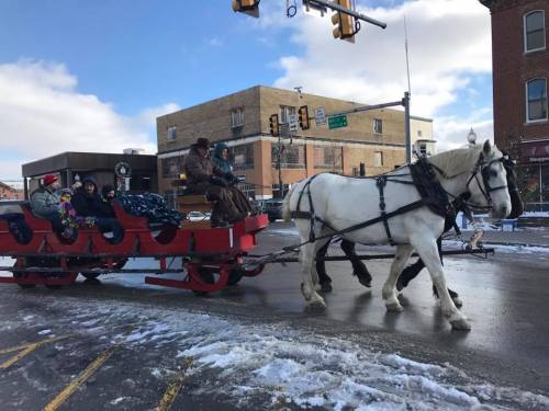 A horse-drawn sleigh with passengers rides through a snowy street under a blue sky and traffic lights.