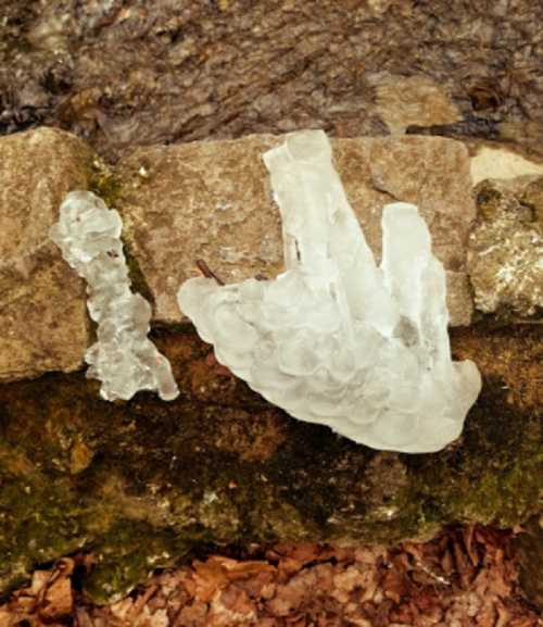 Two pieces of ice resting on a rocky surface, with a natural background of earth and stones.