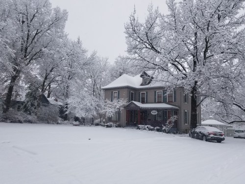 A snow-covered house surrounded by trees, with a thick layer of snow on the ground and a cloudy sky above.