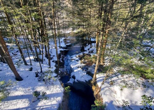 A serene winter landscape featuring a snowy forest and a small creek flowing through the trees.