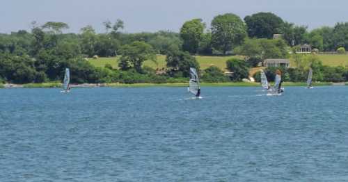 Windsurfers glide across a calm blue lake, surrounded by lush greenery and distant houses on a sunny day.