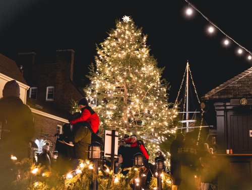 A beautifully lit Christmas tree stands in a festive setting, surrounded by people enjoying the holiday atmosphere at night.
