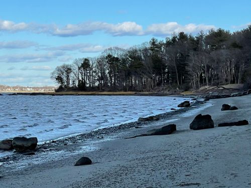 A serene beach scene with gentle waves, rocky shore, and trees lining the background under a partly cloudy sky.