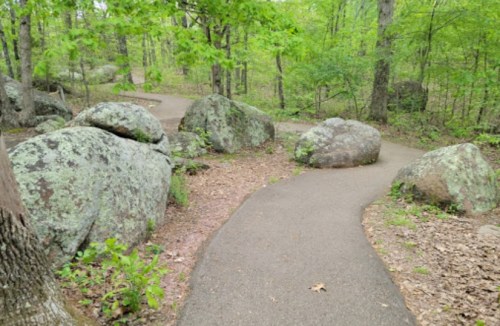 A winding path through a lush green forest, flanked by large rocks and trees.
