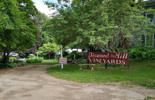 Sign for Diamond Hill Vineyards at the entrance, surrounded by lush greenery and a gravel path.